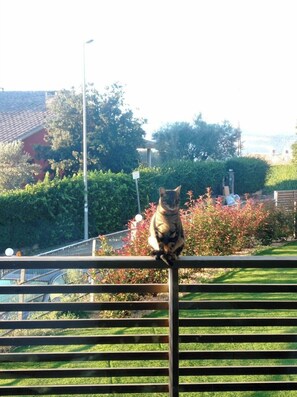 Mặt tiền nơi lưu trú