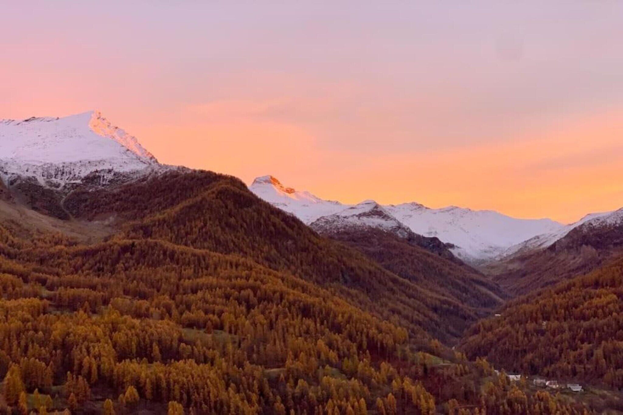 Un paisaje montañoso con picos nevados y un valle con árboles de colores otoñales.