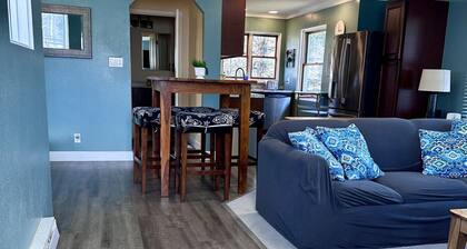 Waterwheel Penthouse - Downtown Douglas