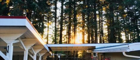 Àrea exterior de l'allotjament