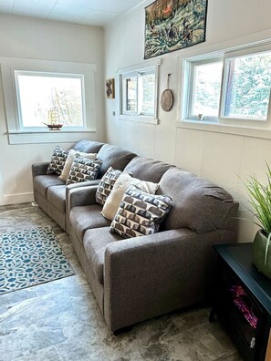 Smart-tv, pejs, bøger