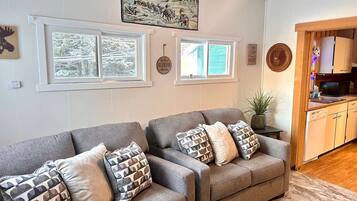 TV connectée, cheminée, livres