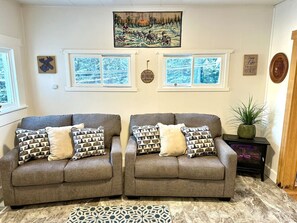 Smart TV, fireplace, books