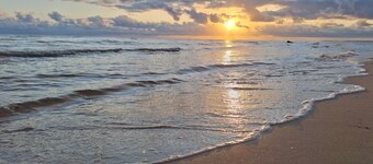 SandNSea - Only Steps to the beach -Pet Friendly Accommodation