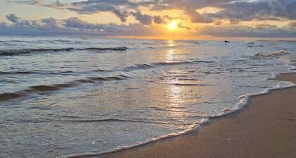 SandNSea - Only Steps to the beach -Pet Friendly Accommodation