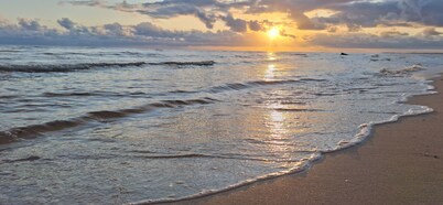 SandNSea - Only Steps to the beach -Pet Friendly Accommodation