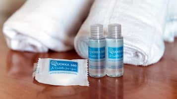 Haartrockner, Bidet, Handtücher, Seife