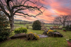 A rural landscape with a large tree, a stone wall, and a grassy field. - Room 'Blu' with Shared Pool and Shared Garden (Semproniano)