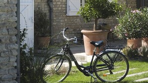 Una casa de piedra con tejado de tejas, una bicicleta estacionada adelante y una planta grande en maceta.