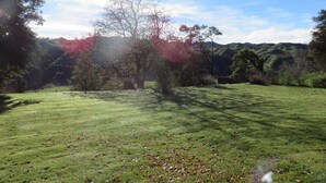 Ein grünes Feld mit Bäumen und Hügeln im Hintergrund.