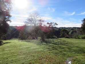 A grassy field with trees and hills in the background.