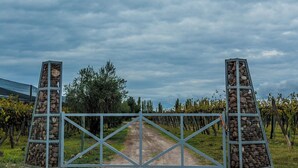 Une entrée de domaine viticole fermée par un portail, avec un chemin de terre qui la traverse.