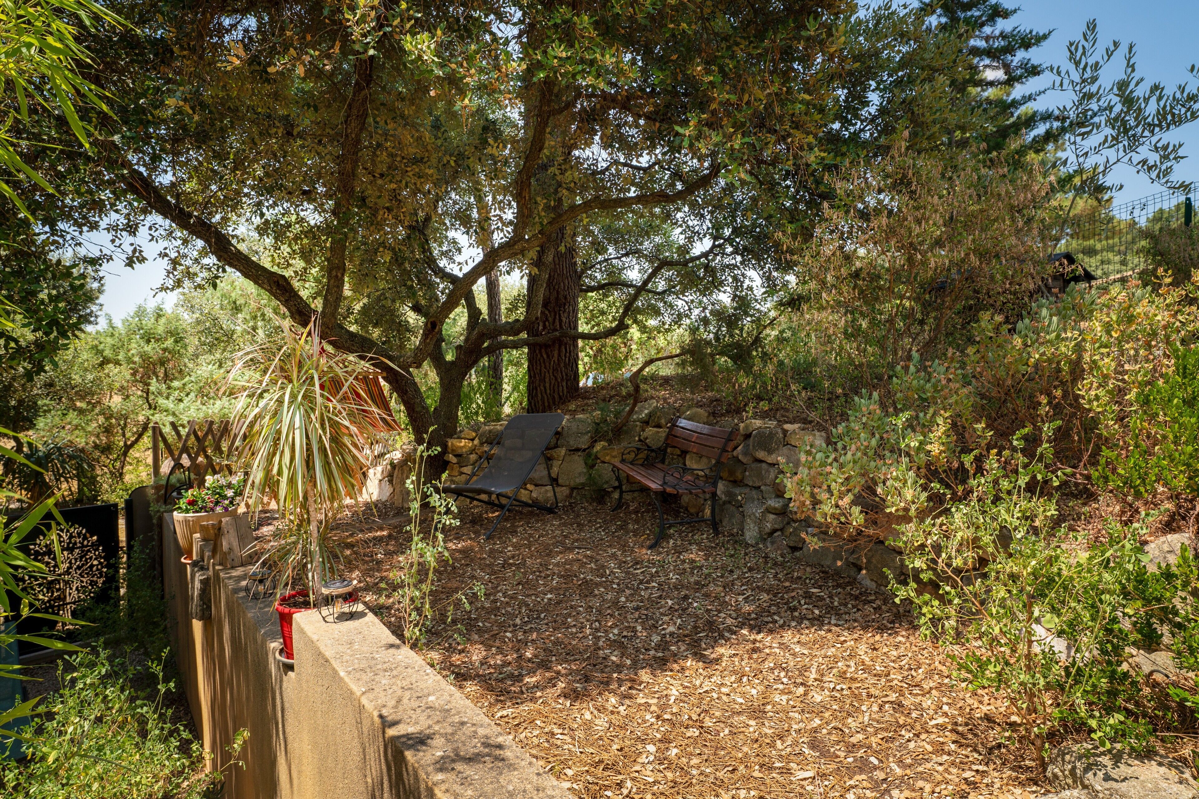 A garden area with a stone wall, a bench, and a variety of plants.