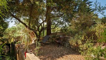 A garden area with a stone wall, a bench, and a variety of plants.