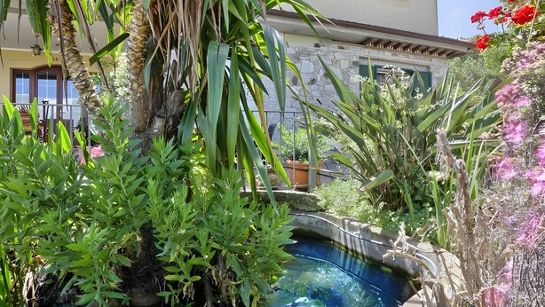 A small pond surrounded by lush greenery and flowering plants. - Apartment 'Tramonto' with Private Terrace, Wi-Fi and Air Conditioning (Capoliveri)