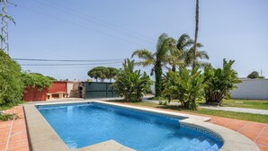 Una piscina rectangular amb vora corba, envoltada d'un pati amb rajoles i palmeres.