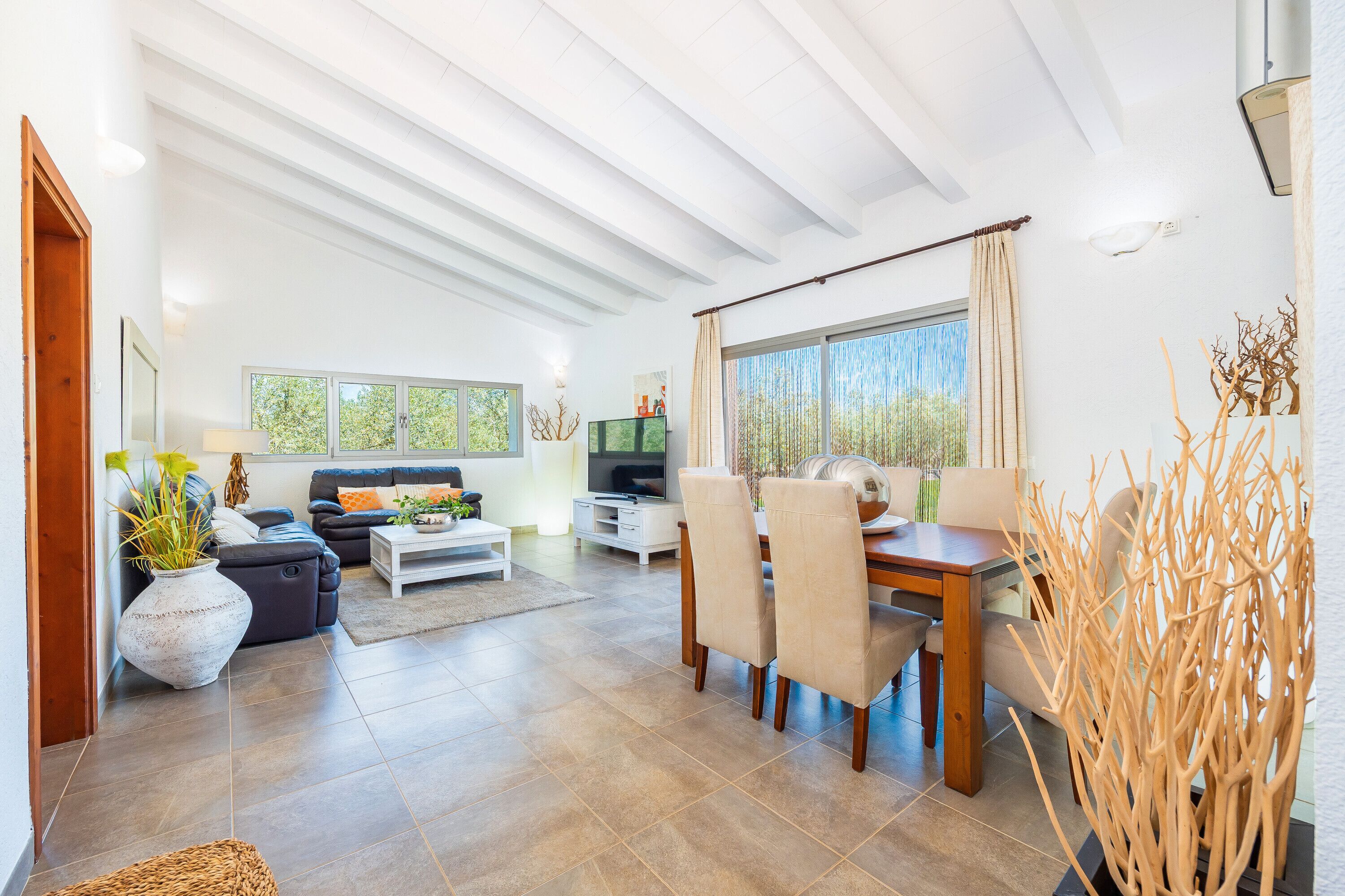 Televisión, reproductor de DVD y tenis de mesa 