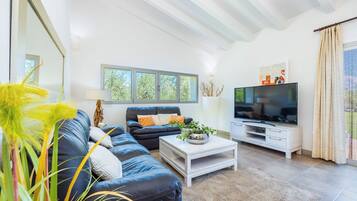 Télévision, lecteur de DVD, table de tennis de table