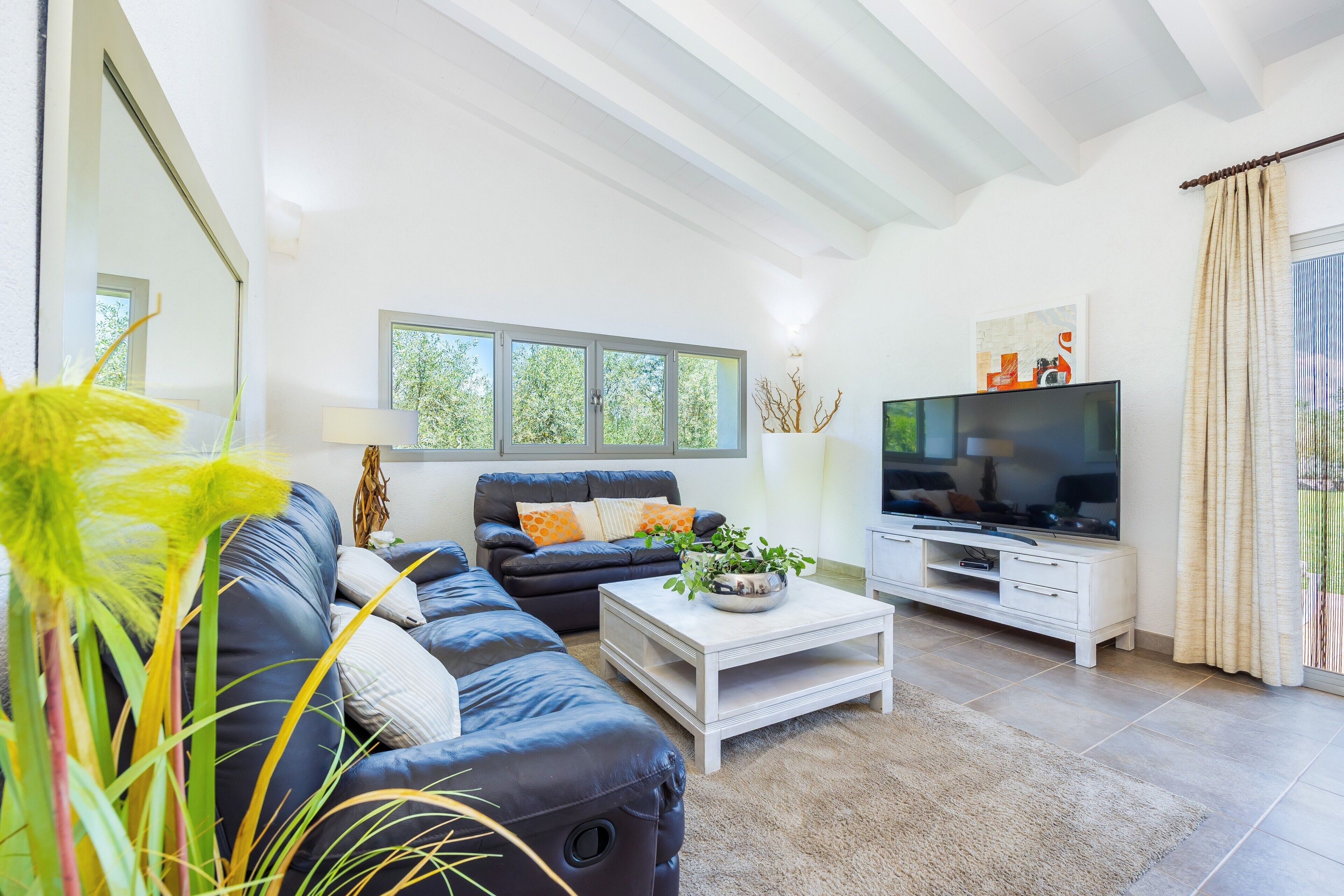 TV, DVD player, ping pong