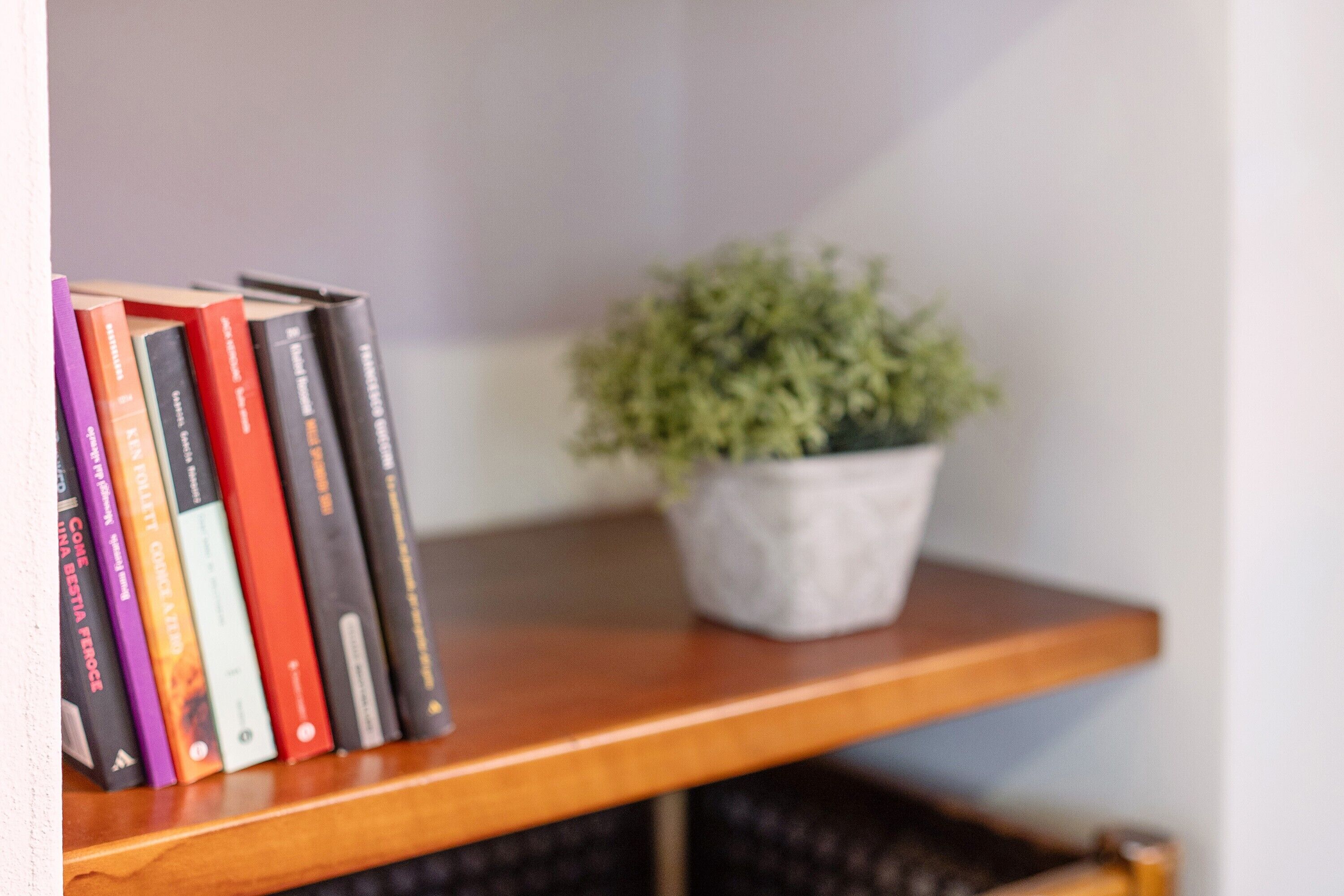 Una estantería de madera con una fila de libros y una planta en maceta.