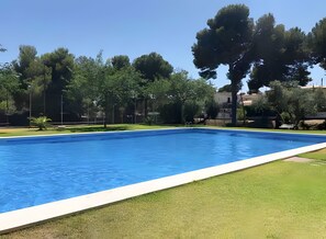 A rectangular swimming pool with a white edge, surrounded by well-maintained grass and trees.
