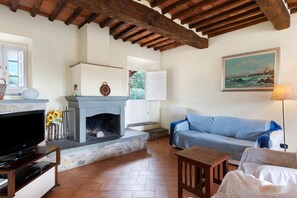 TV, fireplace