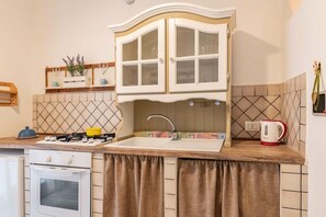 Fridge, oven, stovetop, cookware/dishes/utensils