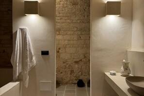 Shower, hair dryer, bidet, towels