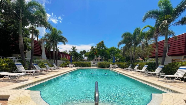 A swimming pool with lounge chairs and palm trees.