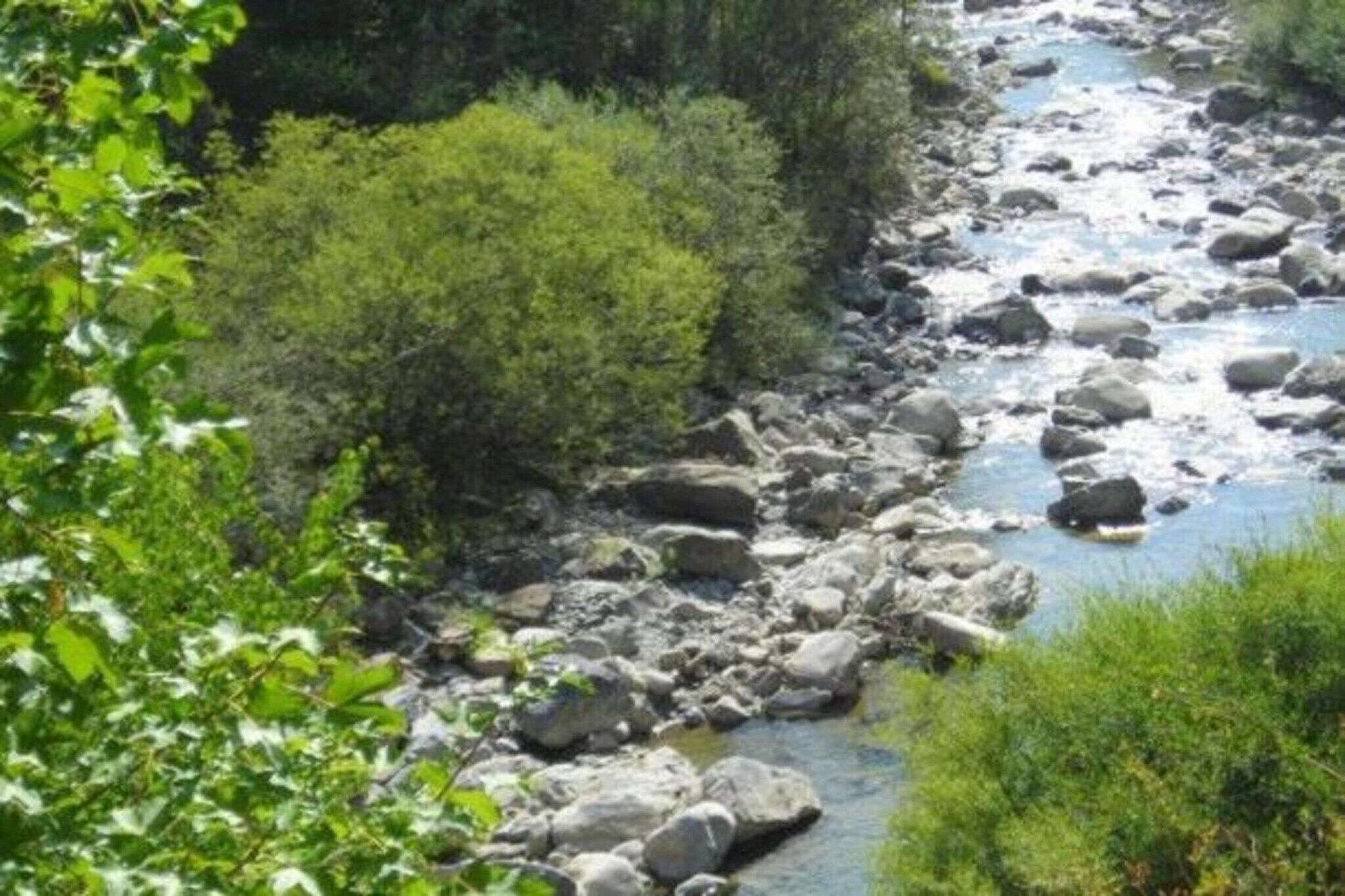 Un fiume con rocce e vegetazione.