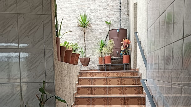 Escadaria com azulejos estampados, rodeada por plantas em vasos e um espelho d'água.