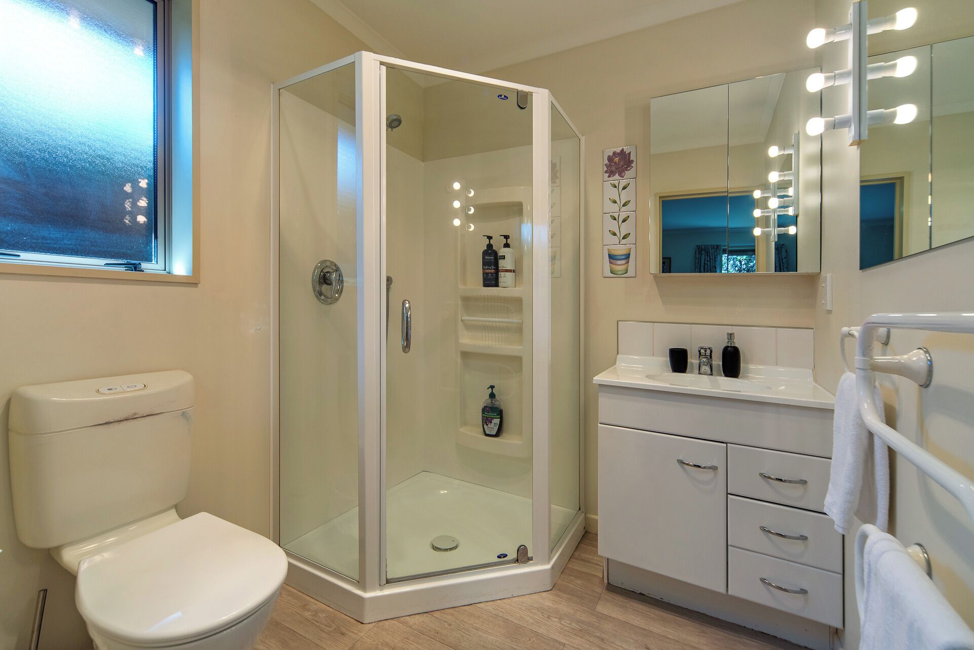 Shower, hair dryer, towels, toilet paper