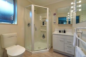 Shower, hair dryer, towels, toilet paper