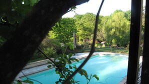Une piscine entourée d’une végétation luxuriante et d’arbres.