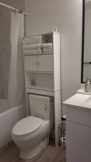 Hair dryer, towels, soap, shampoo