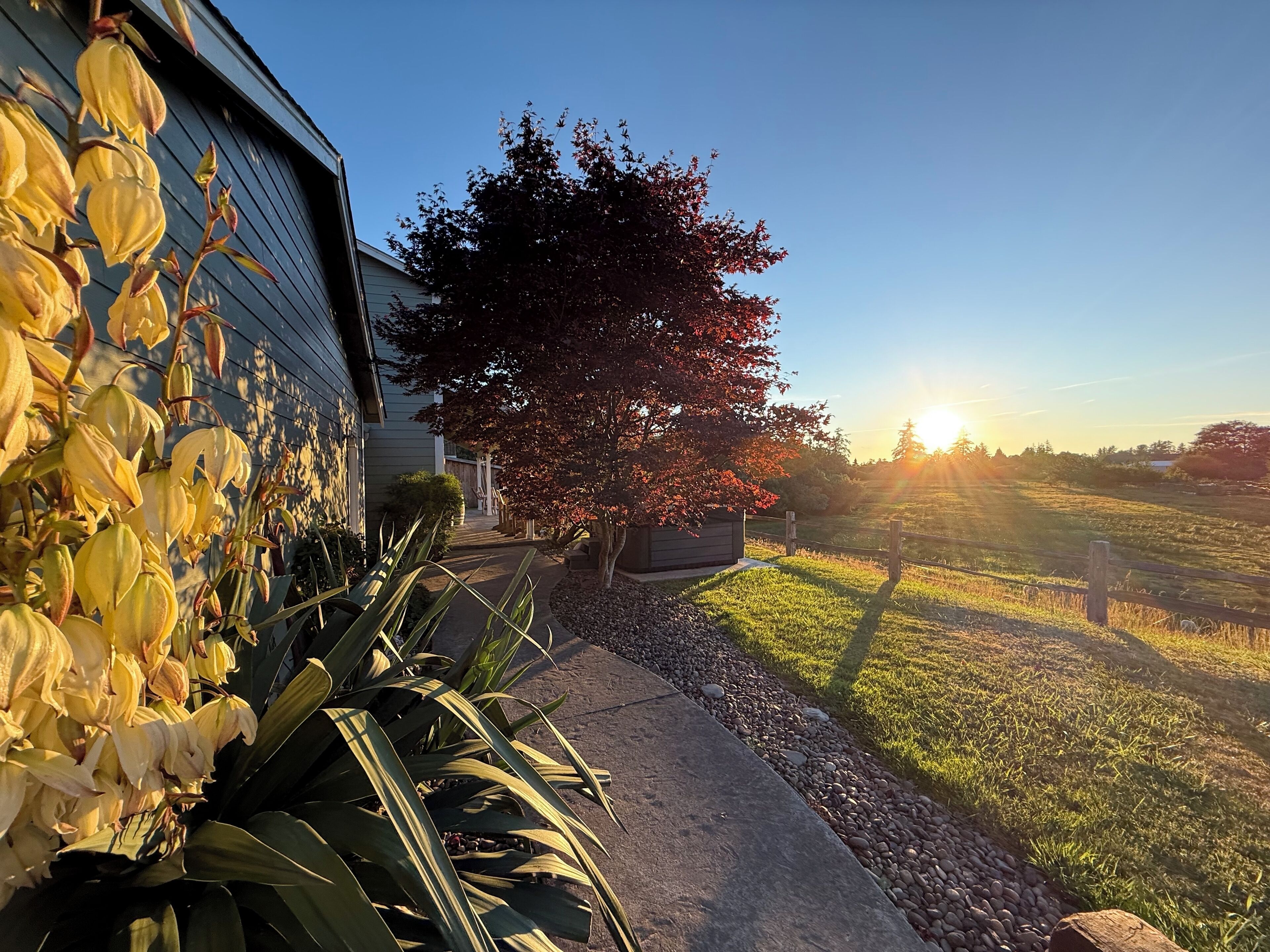 Overnattingsstedets uteområder