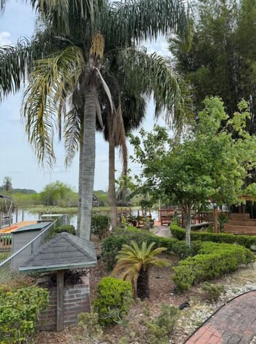 The Bamboo house on the lake