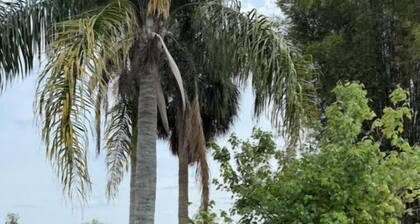 The Bamboo house on the lake
