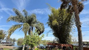 A garden with palm trees, a wooden pergola, and a pathway leading to a body of water. - The Bamboo house on the lake (Hernando)