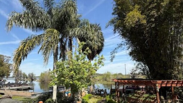 A wooden deck with a railing, a small potted plant, and a view of a lake with trees and a gazebo in the background. - The workshop room @ Bamboo house (Hernando)