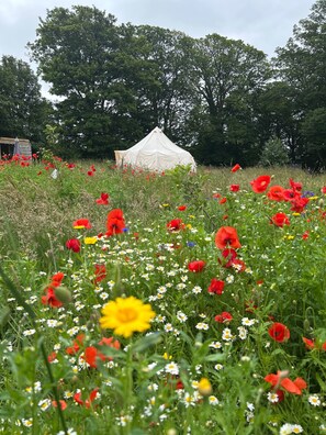 Property grounds - Beautiful Bell Tent Stay (Cowbridge)