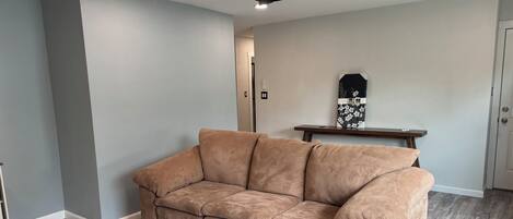 Smart TV, fireplace, books