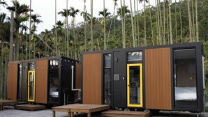 Une rangée de cabines modernes et compactes, aux façades en bois et aux portes en verre, se dressant sur fond de grands palmiers.