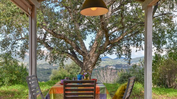 An outdoor dining area with a table set under a tree, surrounded by chairs and a colorful tablecloth. - Casa Vignola, Capoliveri (Capoliveri)