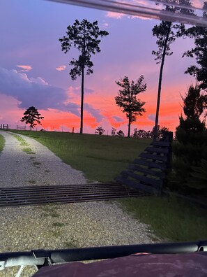 Miscellaneous - Rustic and cozy 2 bedroom apartment in charming Lucedale Ms, with WiFi,AC (Lucedale)