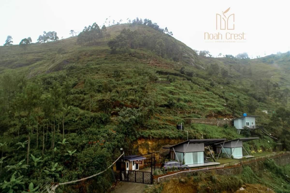 A hillside property with a modern house and a small structure, surrounded by dense greenery.