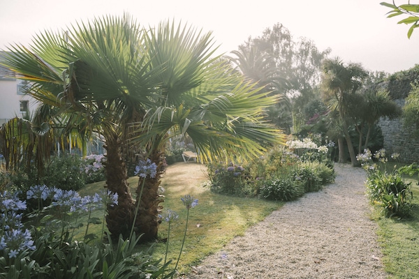 Vue sur le jardin