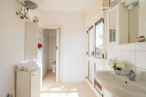 Shower, hair dryer, bidet