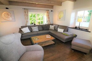 Smart-TV, Kamin