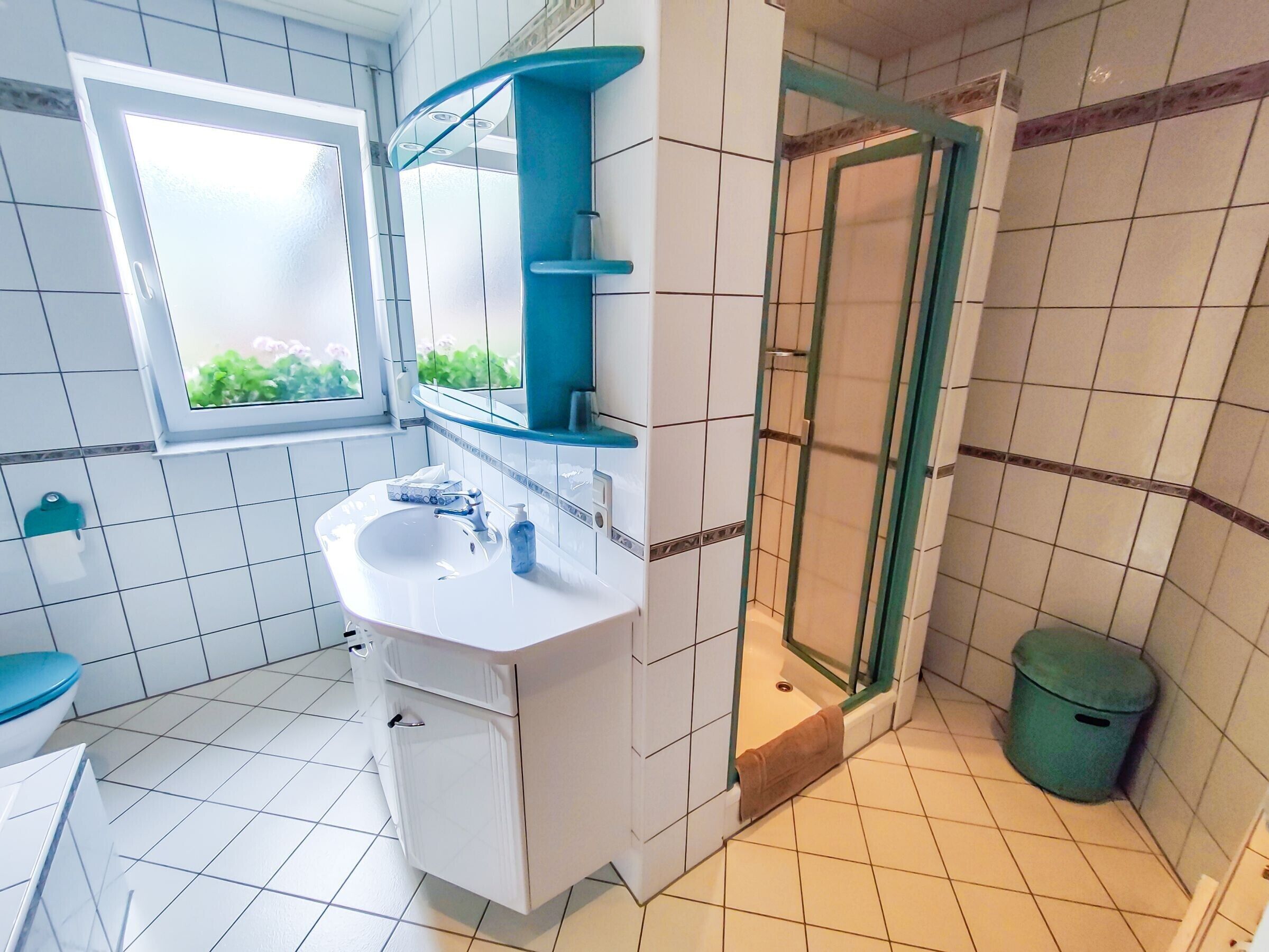 Dusche, Haartrockner, Handtücher